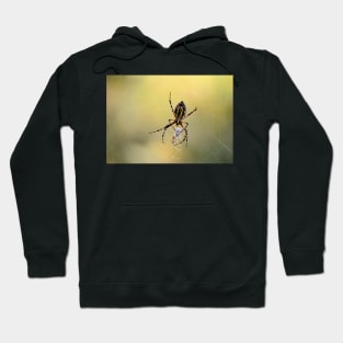 Spider with spider about to emerge from cocoon Hoodie